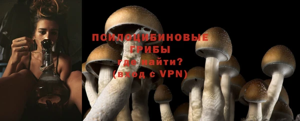 круглые Белокуриха