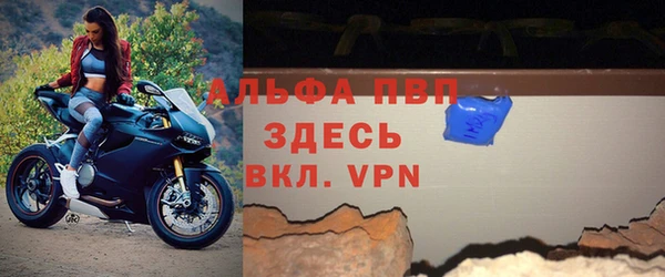 круглые Белокуриха