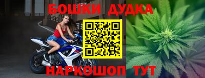 дмт Бийск