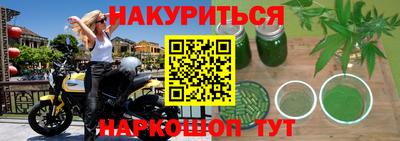 дмт Бийск