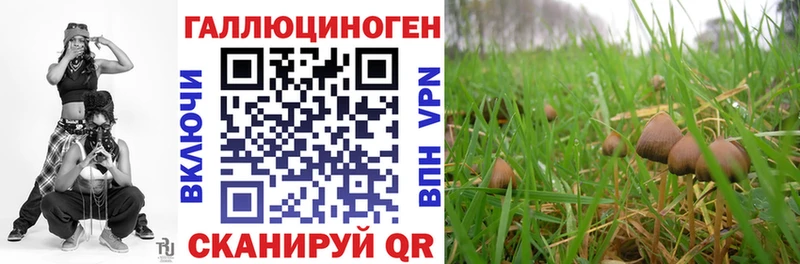 где можно купить   Гулькевичи  Галлюциногенные грибы прущие грибы 
