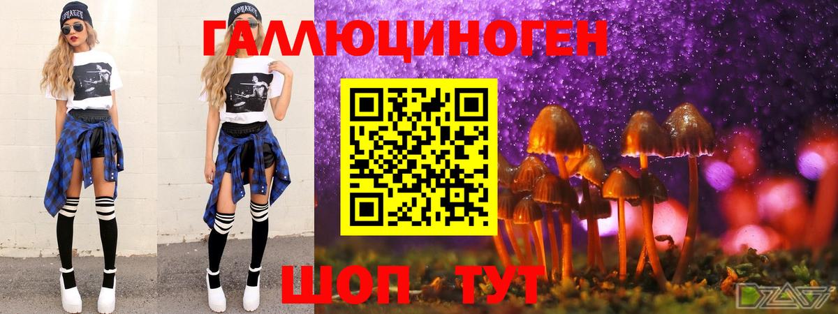Псилоцибиновые грибы Psilocybe Гулькевичи