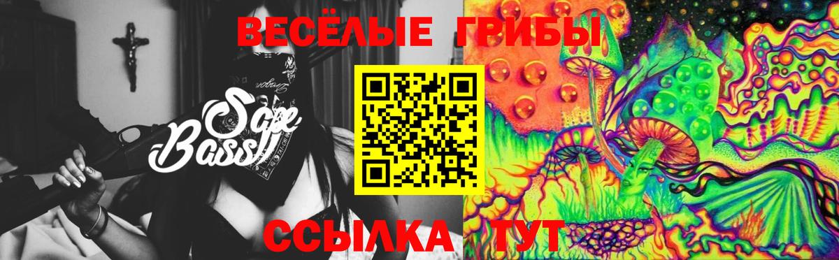 Галлюциногенные грибы Magic Shrooms Гулькевичи